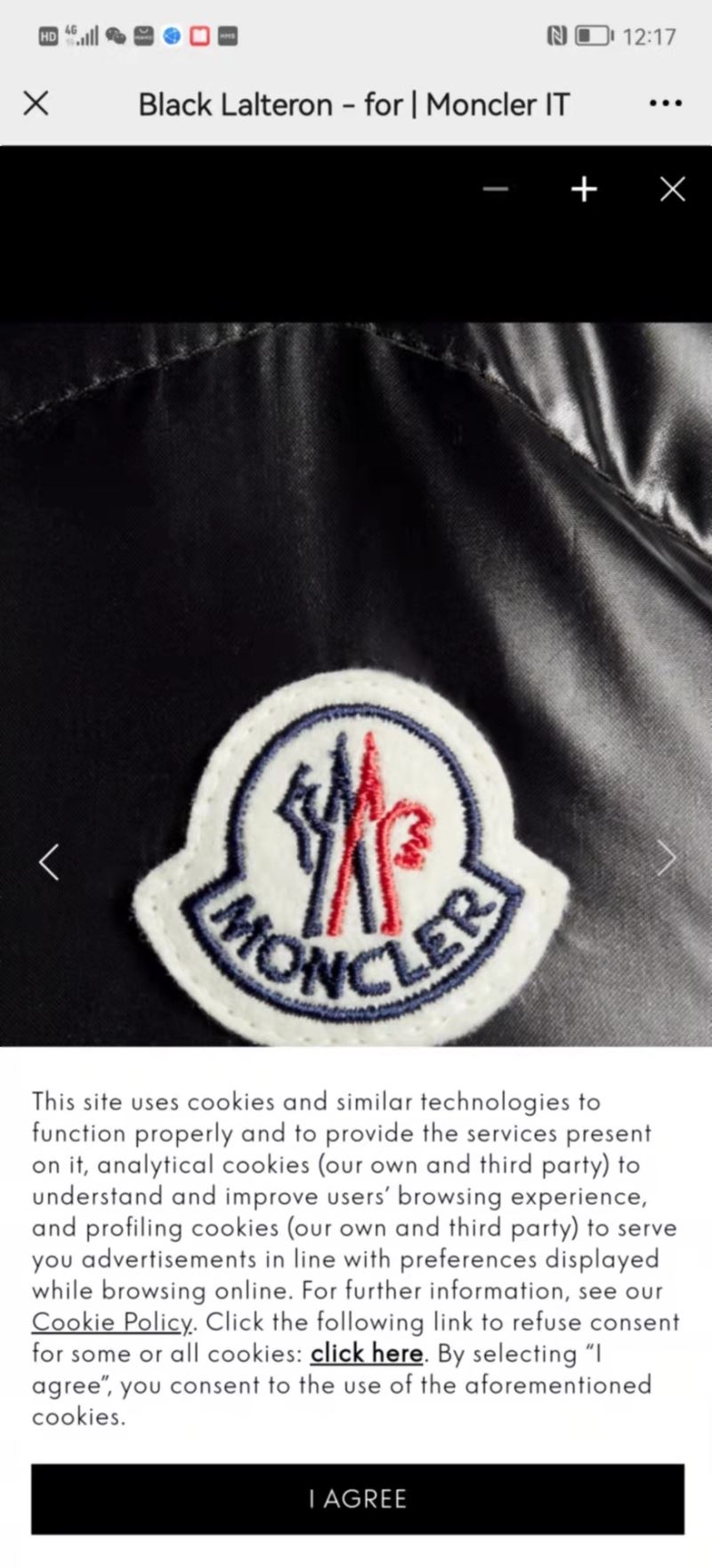 Moncler Down Jackets